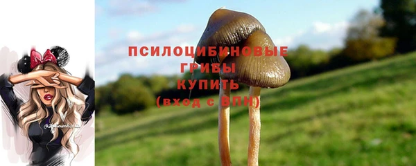 2c-b Кинешма