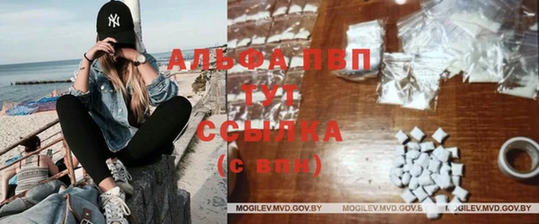 прущие грибы Касимов