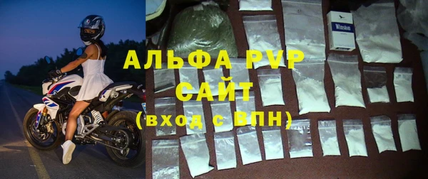 прущие грибы Касимов