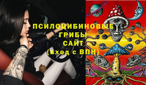 2c-b Кинешма